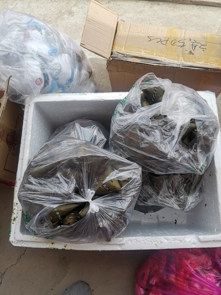 “淮小红”为“孤老”“留小”同过六一5