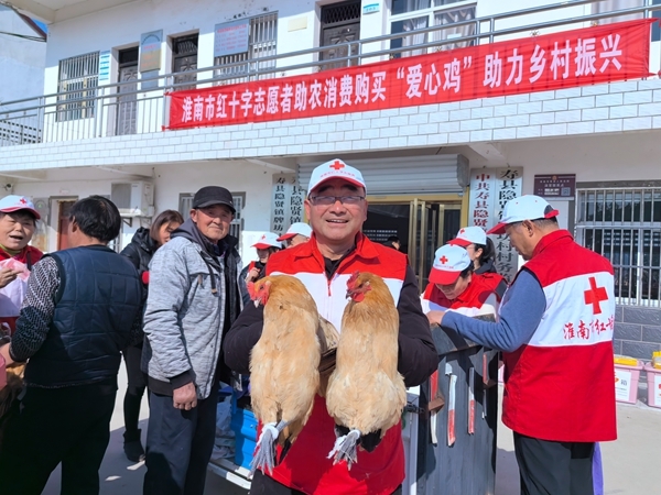 “爱心鸡”再度激情热销1