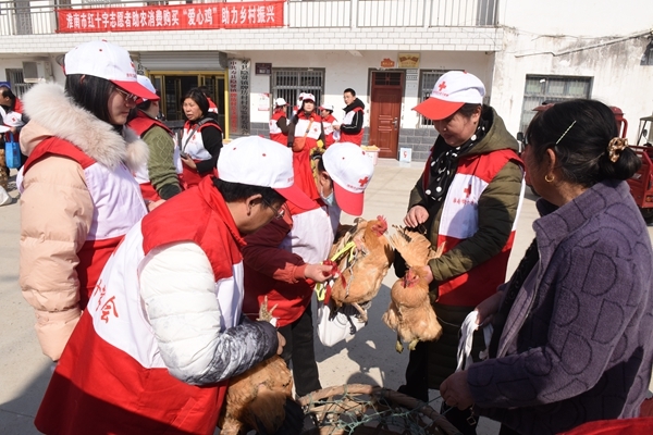 “爱心鸡”再度激情热销16