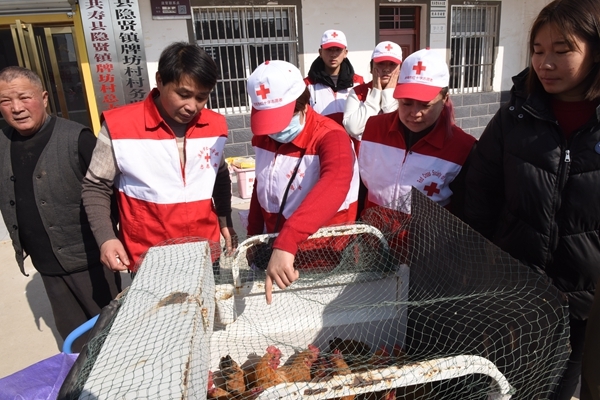 “爱心鸡”再度激情热销2