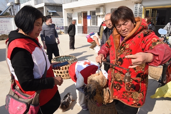 “爱心鸡”再度激情热销23