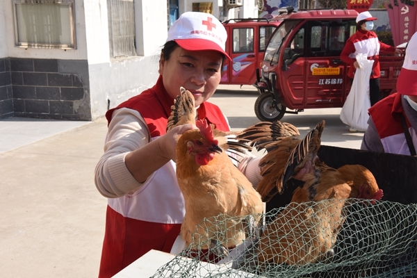 “爱心鸡”再度激情热销26