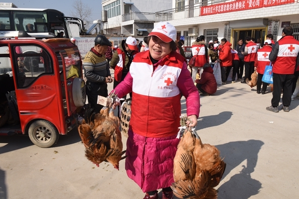 “爱心鸡”再度激情热销27