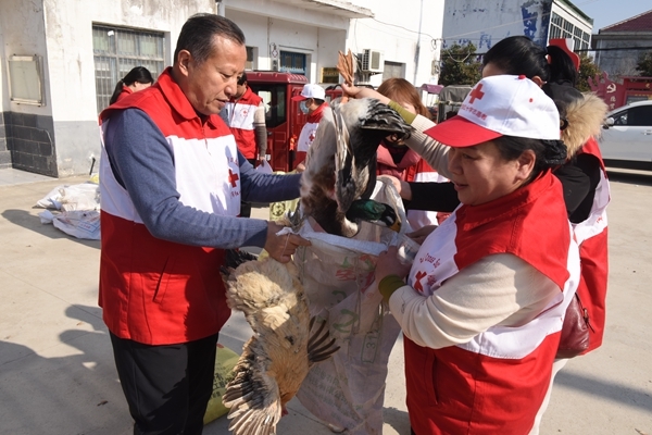 “爱心鸡”再度激情热销28