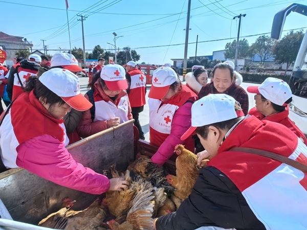 “爱心鸡”再度激情热销3