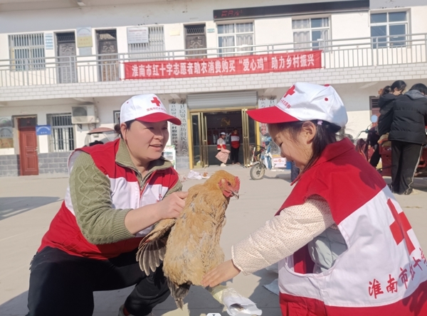 “爱心鸡”再度激情热销30