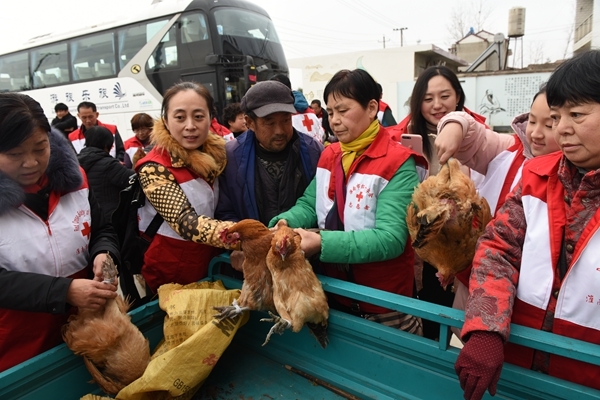 “爱心鸡”再度激情热销6