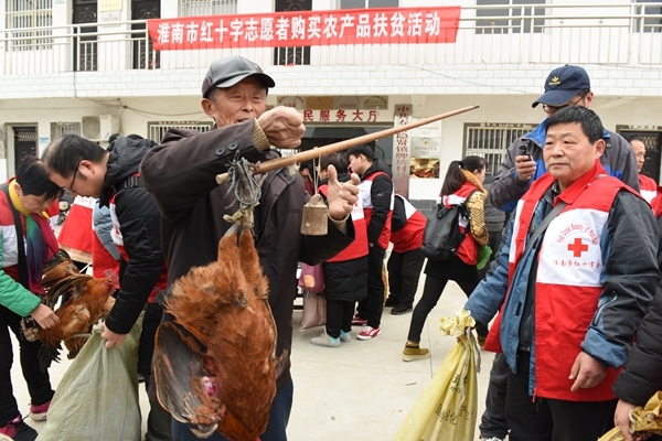 “爱心鸡”再度激情热销8