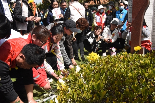 春天的怀念不会淡忘11