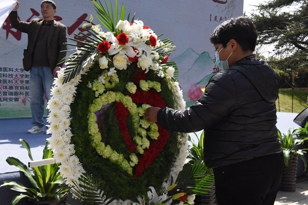 春天的怀念不会淡忘18