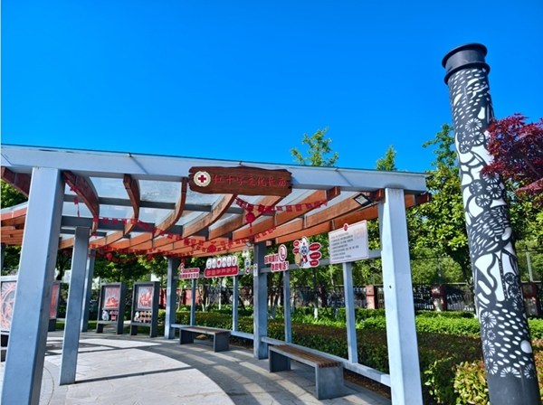 “沪动”三日脚步匆匆收获满满36