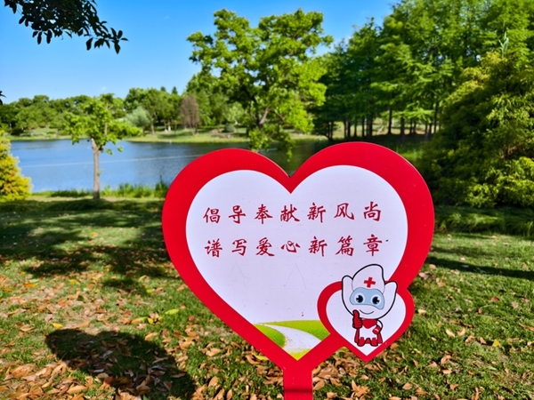 “沪动”三日脚步匆匆收获满满42