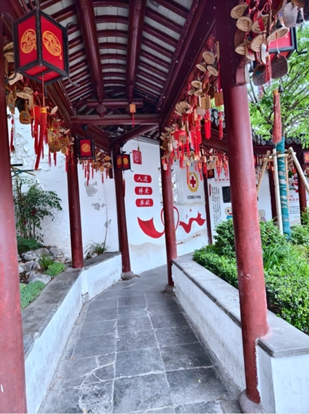 “沪动”三日脚步匆匆收获满满55