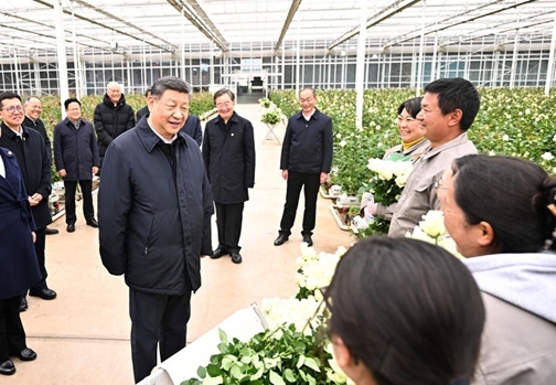图片5