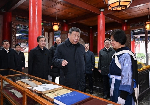 图片8