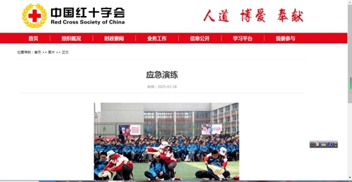 图片8