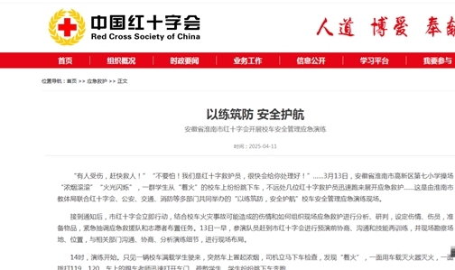 图片19