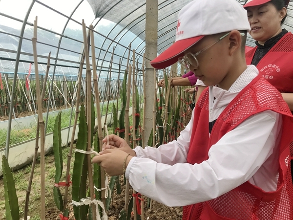 爱心粥爱心包爱心活送给您2