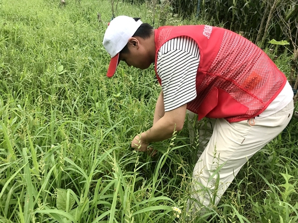 爱心粥爱心包爱心活送给您28