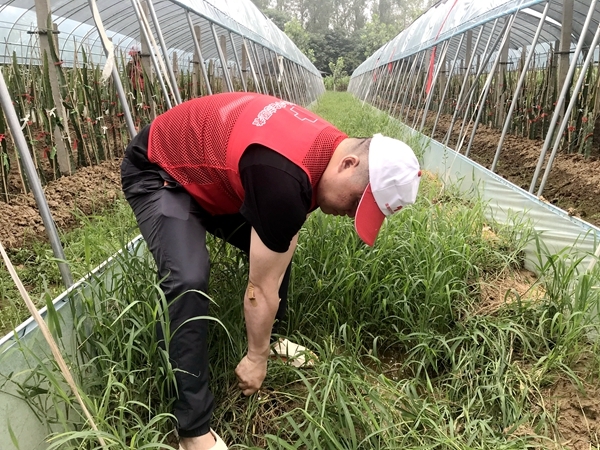 爱心粥爱心包爱心活送给您29