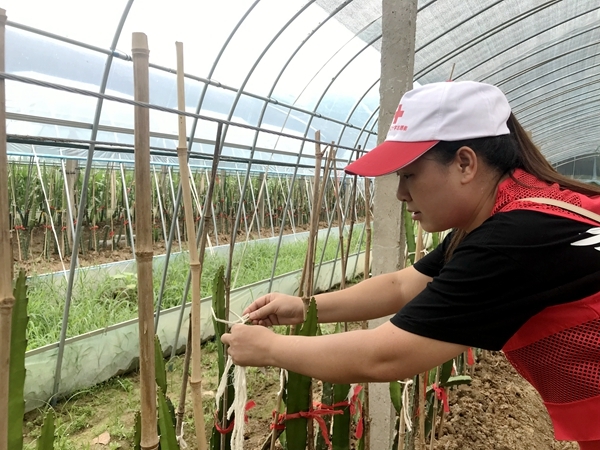 爱心粥爱心包爱心活送给您32