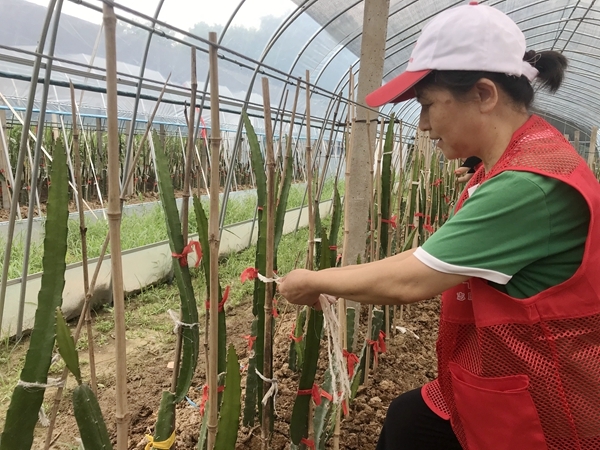 爱心粥爱心包爱心活送给您33