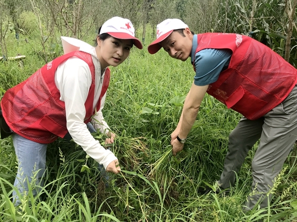 爱心粥爱心包爱心活送给您34