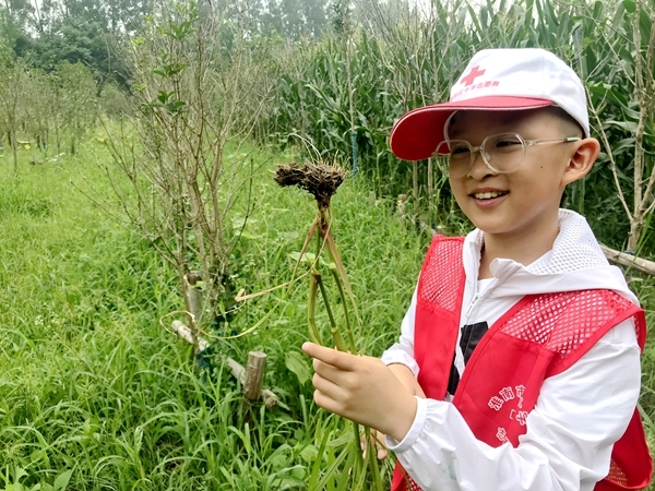 爱心粥爱心包爱心活送给您35