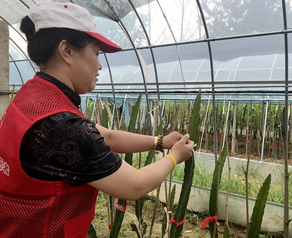 爱心粥爱心包爱心活送给您37