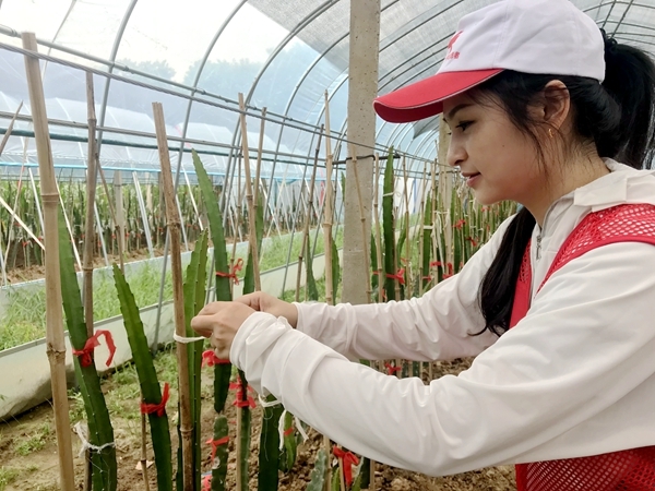 爱心粥爱心包爱心活送给您38