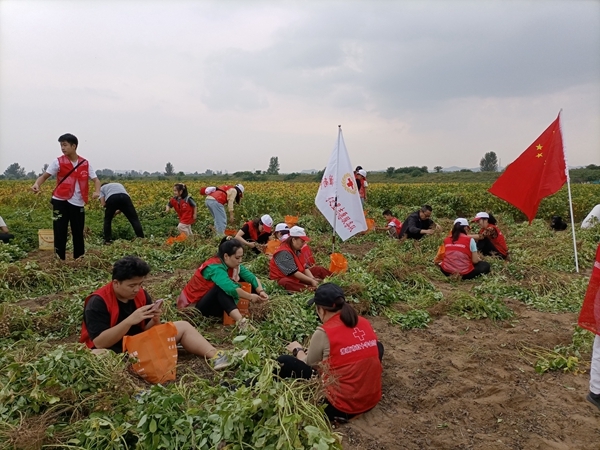 “淮小红”“双节”奉献忙54