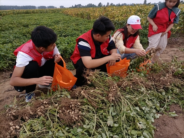 “淮小红”“双节”奉献忙57