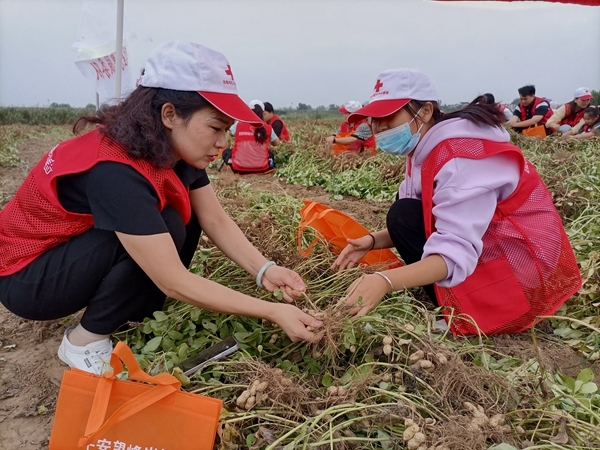“淮小红”“双节”奉献忙59
