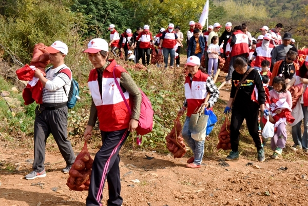 “淮小红”爱心蜜薯五年有约75