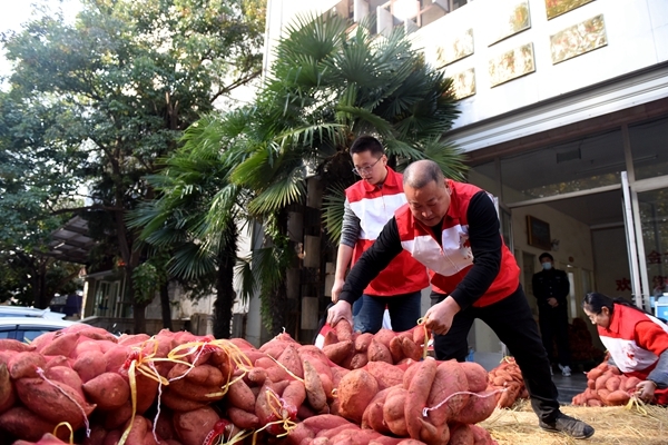 “淮小红”爱心蜜薯五年有约86