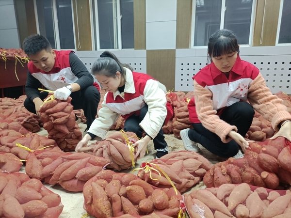 “淮小红”爱心蜜薯五年有约91