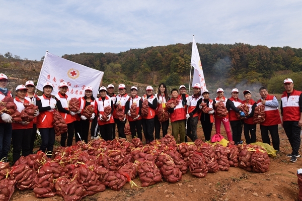 “淮小红”爱心蜜薯五年有约93