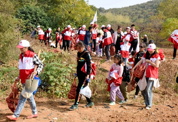 “淮小红”爱心蜜薯五年有约76
