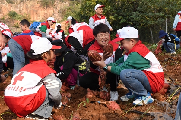 “淮小红”爱心蜜薯五年有约5