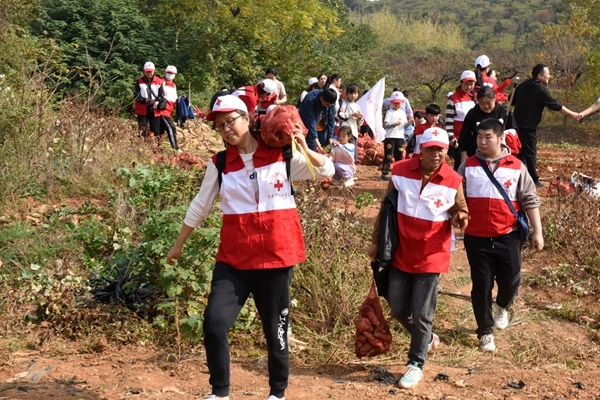 “淮小红”爱心蜜薯五年有约77