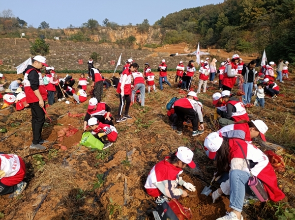 “淮小红”爱心蜜薯五年有约17