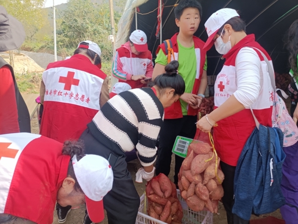 “淮小红”爱心蜜薯五年有约78