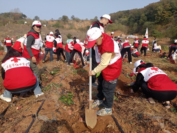 “淮小红”爱心蜜薯五年有约20