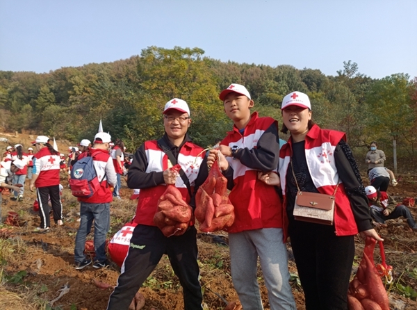 “淮小红”爱心蜜薯五年有约21