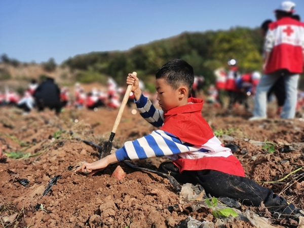 “淮小红”爱心蜜薯五年有约25