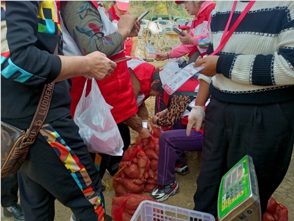 “淮小红”爱心蜜薯五年有约79