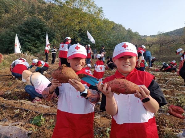 “淮小红”爱心蜜薯五年有约36