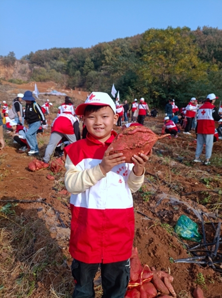 “淮小红”爱心蜜薯五年有约37