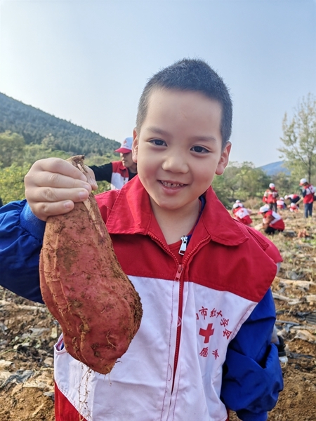 “淮小红”爱心蜜薯五年有约39