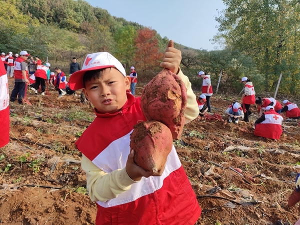 “淮小红”爱心蜜薯五年有约41